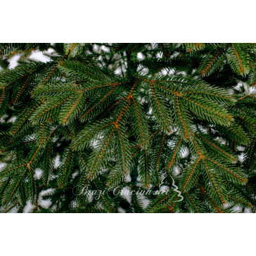 Umělý vánoční stromek Boreal Full 3D 210 cm