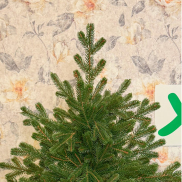 Umělý vánoční stromek Evergreen Premium Full 3D, 210 cm