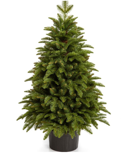 Umělý vánoční stromek Nobiles 100 cm