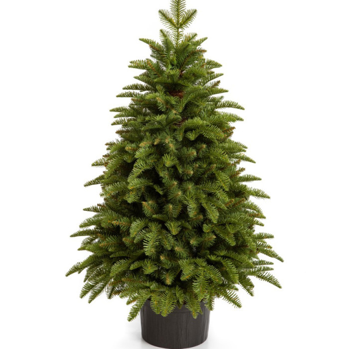 Umělý vánoční stromek Nobiles 100 cm