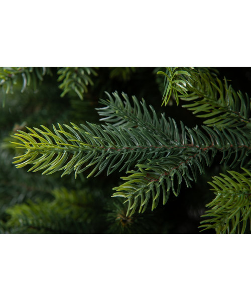Umělý vánoční stromek Dakota 3D+2D - 220 cm