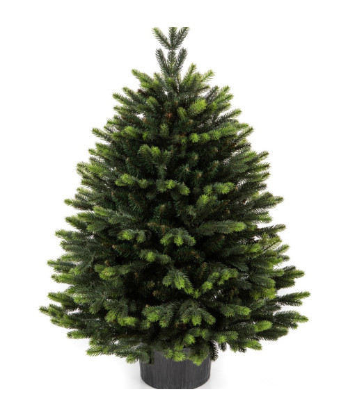 Umělý vánoční stromek Premium Gabriel 100 cm