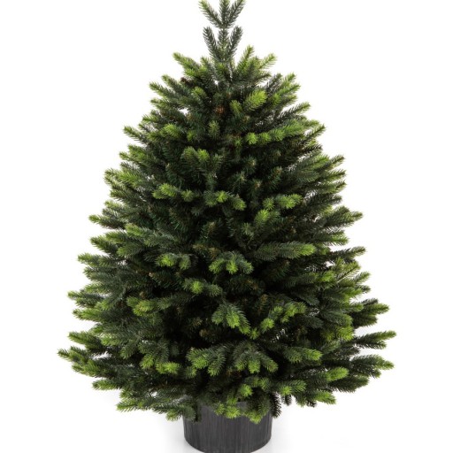 Umělý vánoční stromek Premium Gabriel 100 cm